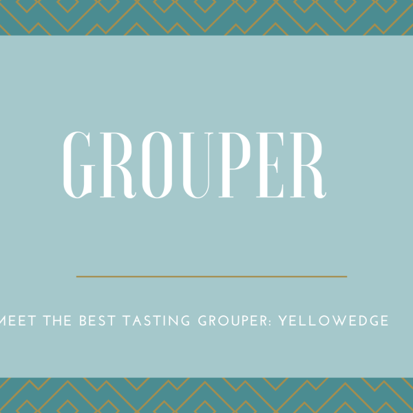 Grouper blog graphic