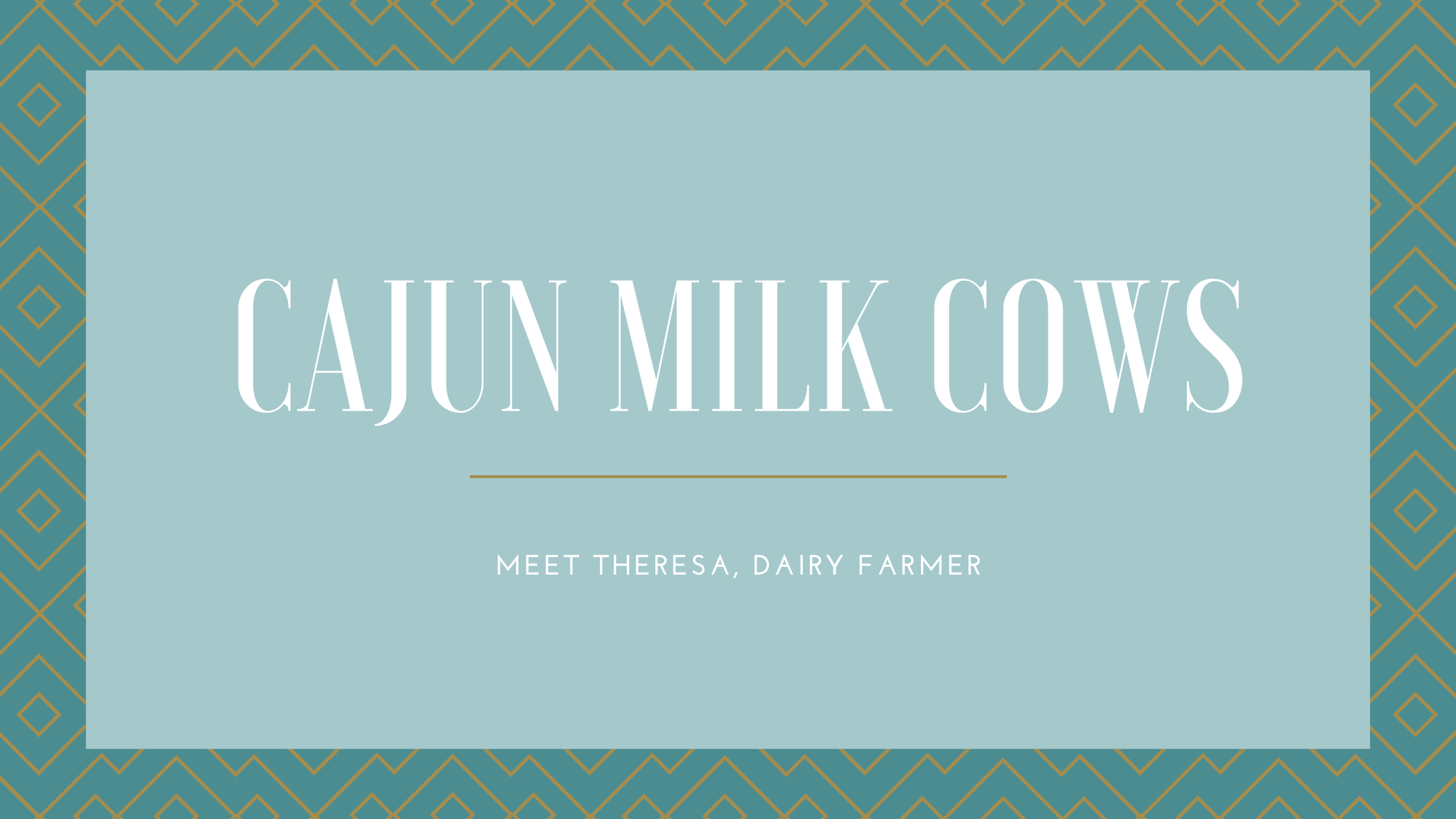 Cajun Milk Cows