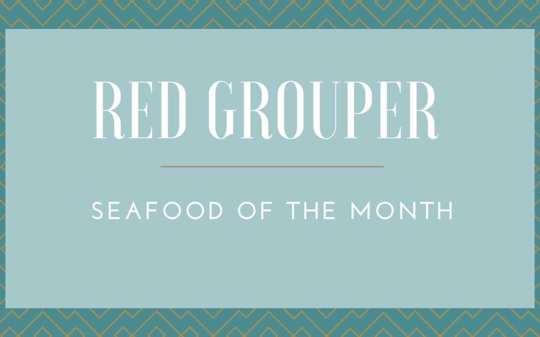 Red Grouper:  Seafood of The Month