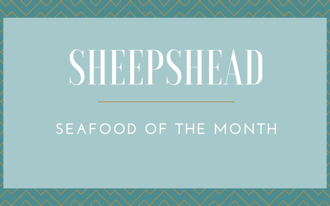 Sheepshead:  Seafood of The Month