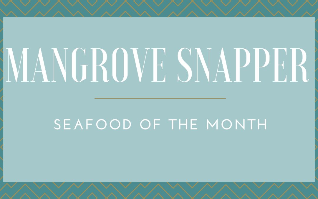 Mangrove Snapper:  Seafood of The Month